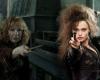 Der Tod von Bellatrix Lestrange erscheint uns mit dieser Szene anders