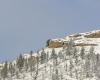 Können Sie den „Elchkopf“ im Schnee im Yellowstone entdecken?