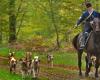 Ein Verein prangert die Praxis der Jagd mit Hunden auf seinem Land an: Nachrichten