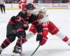 Das Spiel Senators-Red Wings zum Anschauen