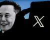 Zwischen Provokation und Desinformation die Geschichte eines verrückten Tages auf Elon Musks X-Profil