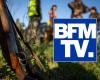 Jagdvorfall: BFM surft auf leerem Boden