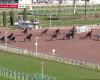 Quinté+: PRIX DE LA COTE D’AZUR – CAGNES-SUR-MER – 01.09.2025: Läufer, Vorhersagen und Ergebnisse in Videos – Rennen 1