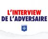 Fred (AJ Auxerre-Fan: „LOSC? Eine Mischung aus Hoffnung und Sorge“