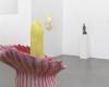 Genevoise Mai-Thu Perret stellt in der Mezzanin-Galerie aus