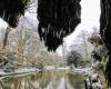 Wetterbericht. Wie ist das Wetter an diesem Freitag, den 10. Januar in Hauts-de-France?