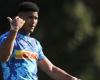 Springboks: Feinberg-Mngomezulus besorgniserregendes Update nach dem „Risiko“ der Stormers: Planet Rugby