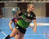 Handball (N2F): Das Spiel der Angst um die Wiederaufnahme von Aljo