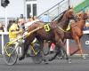 Jason am Start des Prix Michel Marcel Gougeon am Sonntag