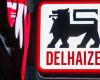 Delhaize gibt die Übernahme von Louis Delhaize bekannt