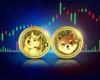 Dogecoin steigt um 10 %, Shiba Inu legt um 6 % zu: Was treibt diesen Anstieg an?