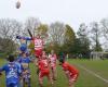 Der Rugby Club Poitiers Ouest erleidet einen Schlag auf den Kopf