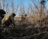 Ukrainische Drohnen greifen russisches Gelände an