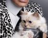 Was passiert mit Choupette Lagerfeld?