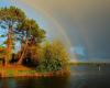 Ein Workshop, um alles über Regenbögen zu lernen