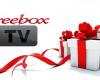 6 TV-Sender werden im März auf Freebox TV angeboten